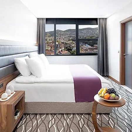 Hotel Lilium & Cali