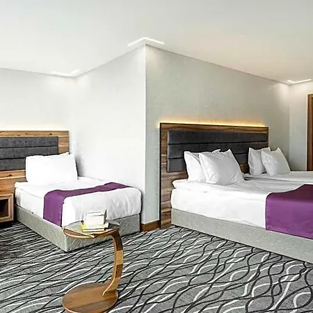 Lilium & Hotel Cali